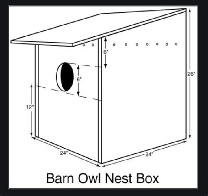 Owl Box Plans PDF for DIY Bird Housing