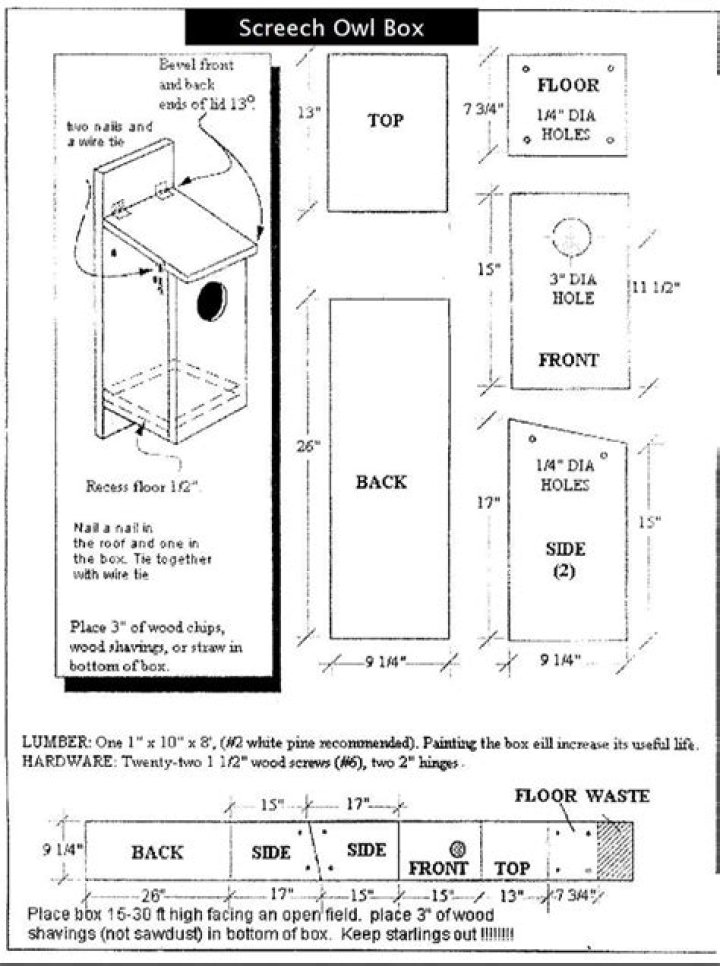 Owl Nest Box Plans PDF – Easy DIY Guide for Bird Lovers