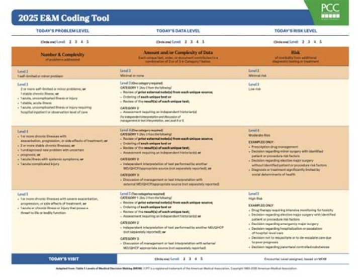 Pain Management Coding Guidelines 2021 PDF: Official Coding Standards & Best Practices