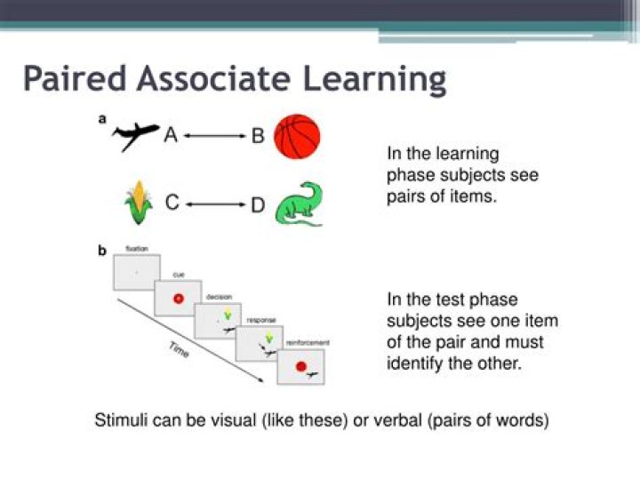 Paired-Associate Learning Test PDF: Improve Memory with Science-Based Practice