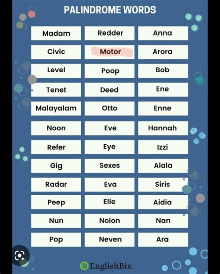 Free Palindrome Words List in English PDF – Download Now