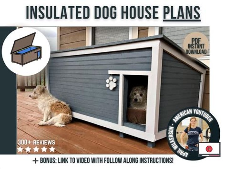 Build Your Own Pallet Dog House with Free PDF Plans