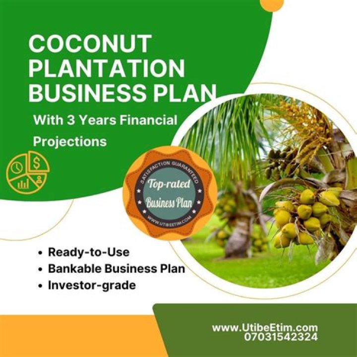 Palm Tree Plantation Business Plan PDF: Start & Grow Your Sustainable Enterprise