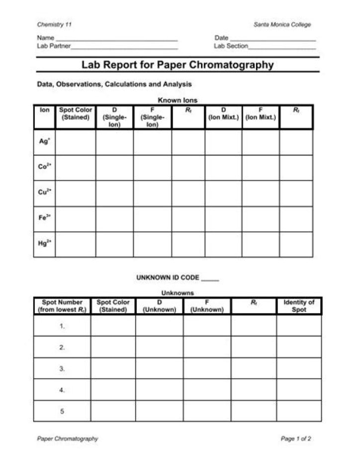 Paper Chromatography Lab Report PDF Answers & Step-by-Step Guide