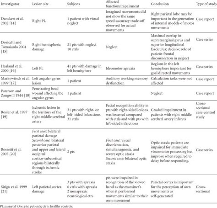 Parietal Lobe Testing PDF: Essential Neuroexam Protocols & Assessment Tools