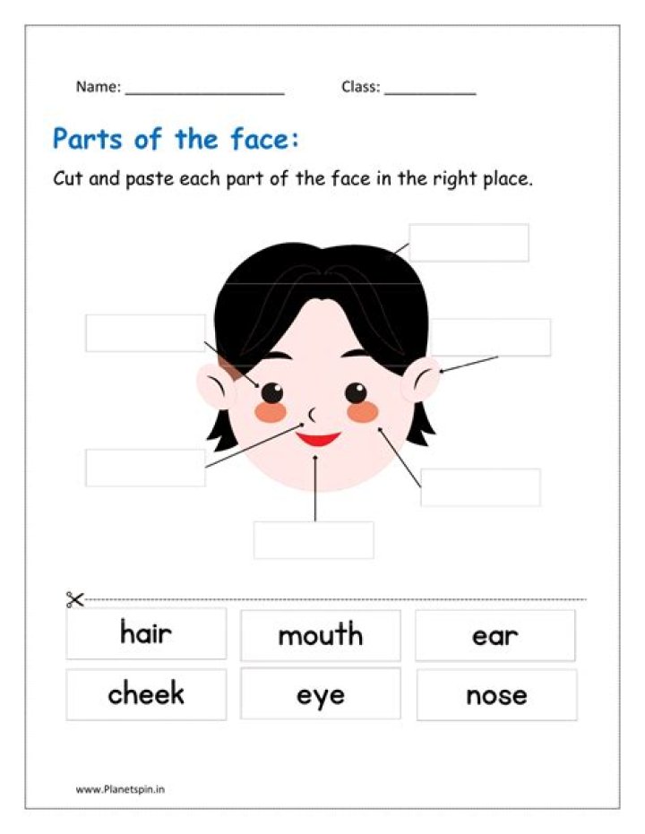 Free Parts of the Face Worksheet for Kindergarten PDF Download