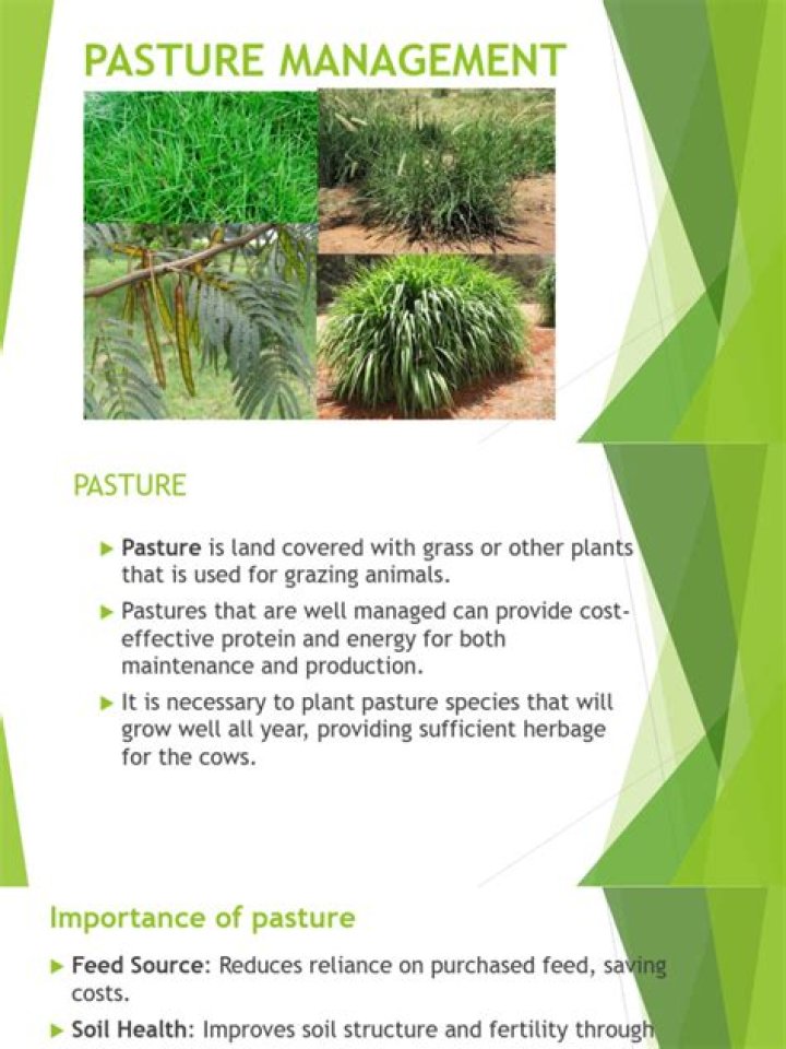 Master Pasture Management: Essential PDF Guide