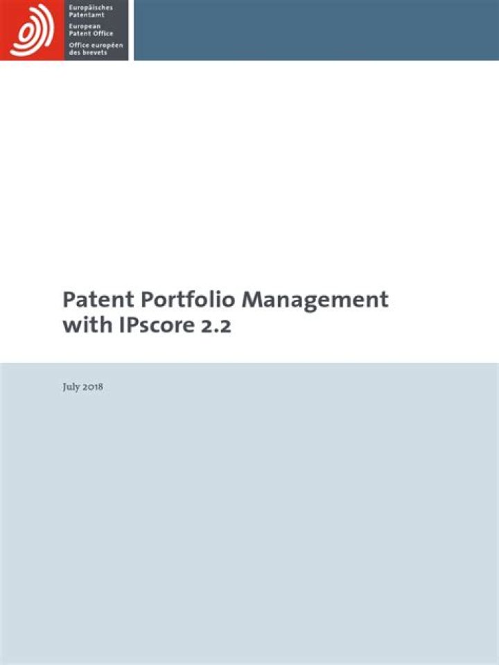 Master Patent Portfolio Management with Expert PDF Guidance