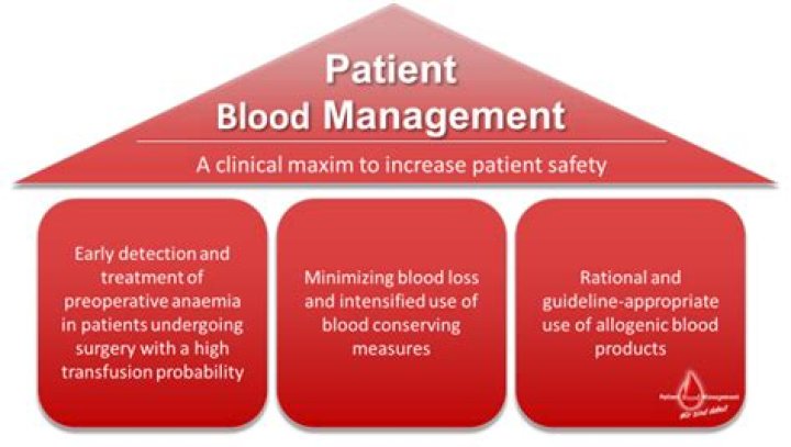 Patient Blood Management PDF: Essential Guidelines for Safe Blood Use