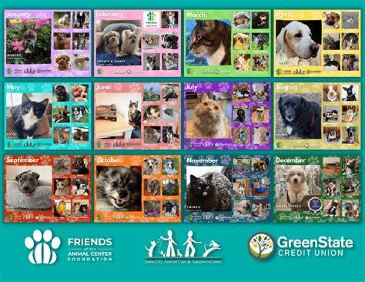 Paw Print Calendar 2025 Winners List PDF – Official Winners Revealed