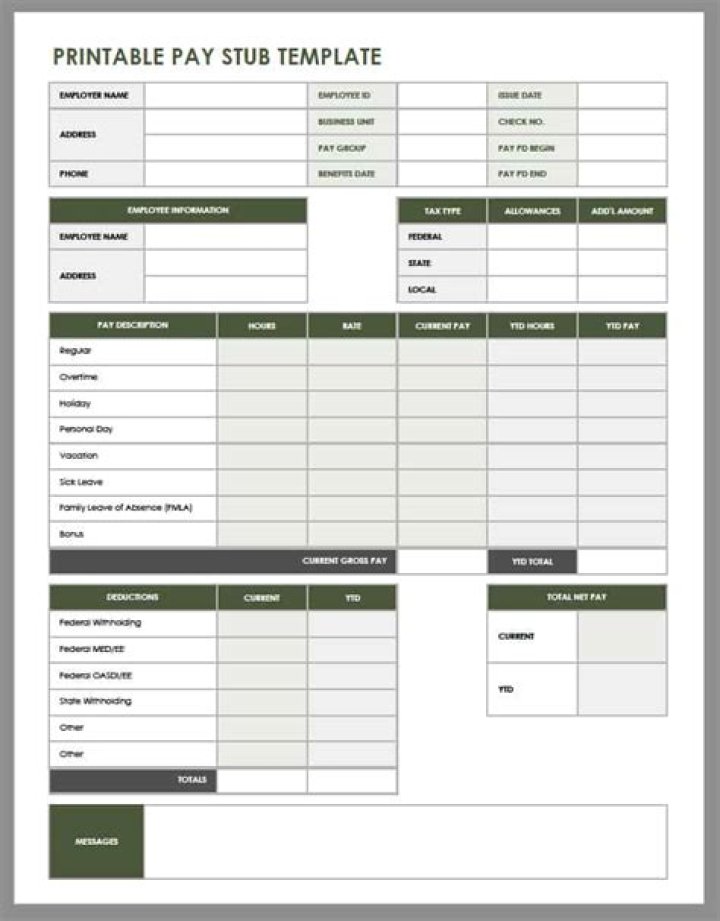 Download Pay Sheet PDF for Accurate Financial Records