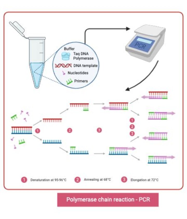 PCR Test Procedure PDF: Step-by-Step Guide & Official Protocol