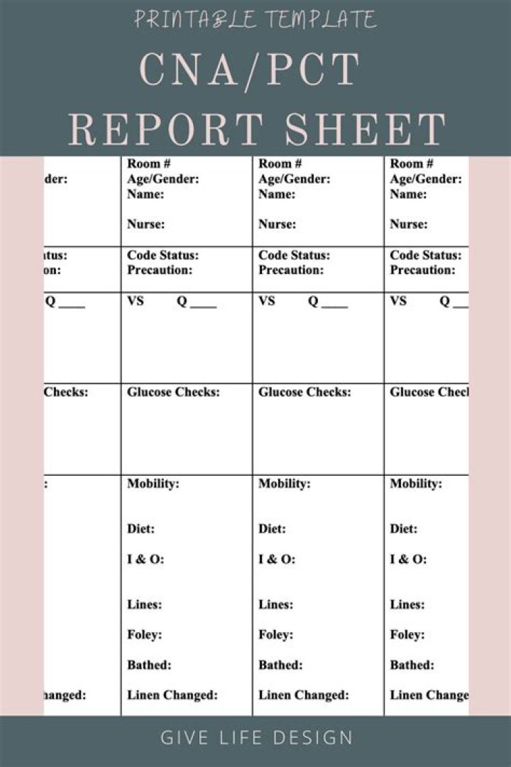 PCT Report Sheet PDF: Download Official Income Tax Form