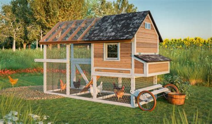 PDF Chicken Coop Plans: Build Your Own Secure Chicken Coop
