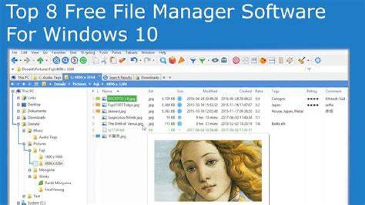 Top PDF File Manager Software for Efficient Document Management