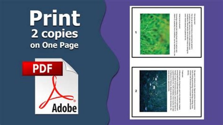 Print 2 Pages on One Sheet: PDF Guide