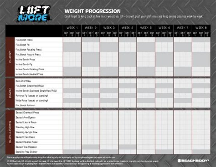 Download Printable Liift4 Tracker Sheet PDF