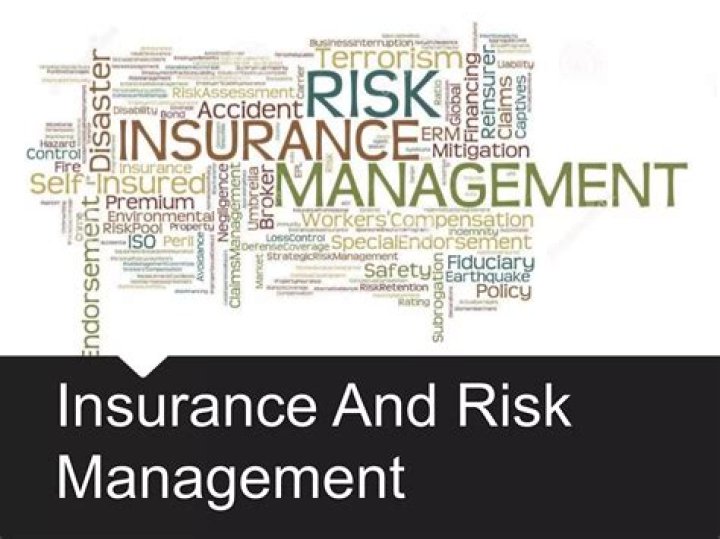 PDF Risk Management & Insurance: Essential Strategies for Business Protection