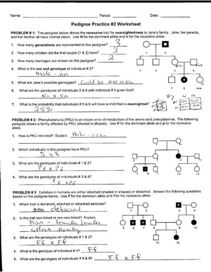 Pedigree Analysis Practice Problems with Answers PDF: Master Breeding Genetics