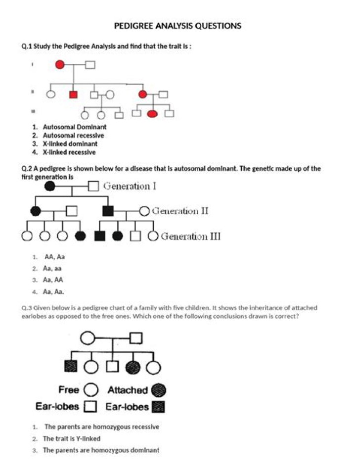 Pedigree Analysis Questions and Answers PDF: Master Breeding & Genetics
