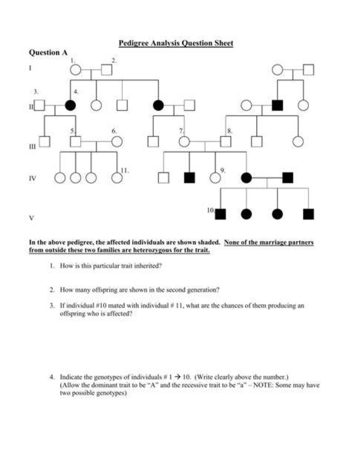 Pedigree Analysis Questions for NEET PDF – Free Download