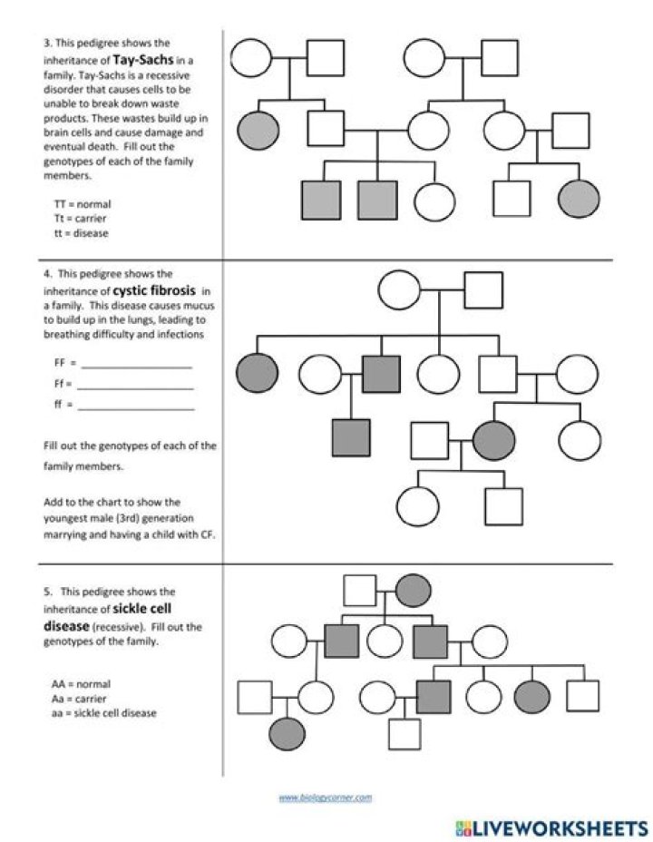 Pedigree Chart Questions and Answers PDF: Expert Guide