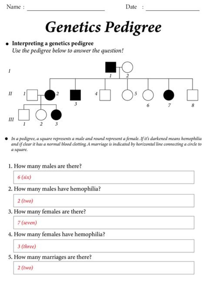 Pedigree Practice Worksheet PDF – Download Free Training Tool
