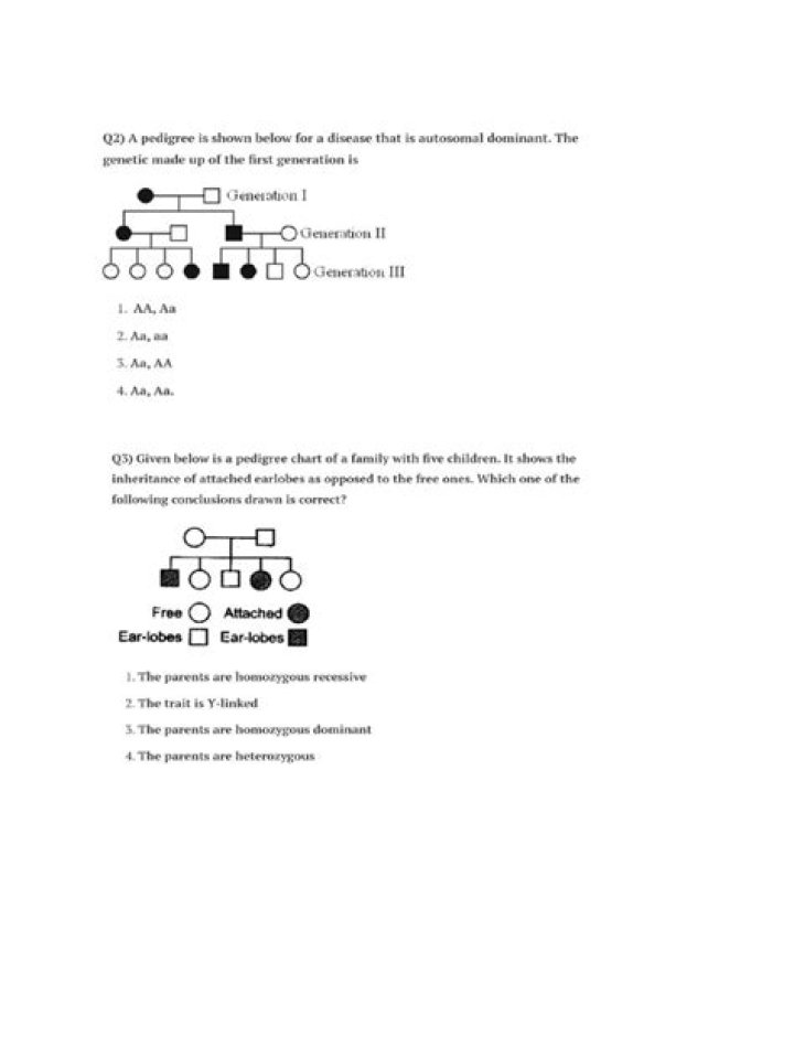 Pedigree Questions PDF: Expert Answers for Dog Breeders