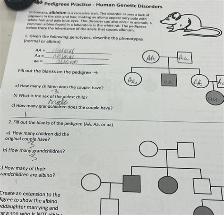 Pedigrees, Human Genetic Disorders PDF Answer Key – Practice & Review