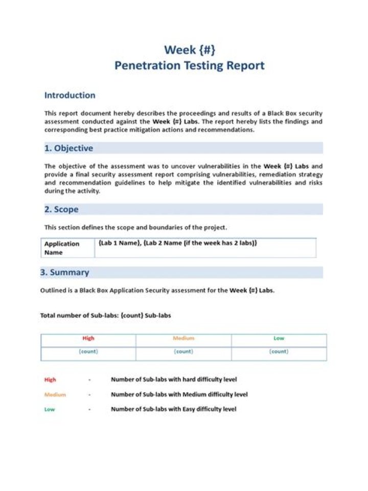 Penetration Testing Report Template PDF: Ready-to-Use Security Audit Document