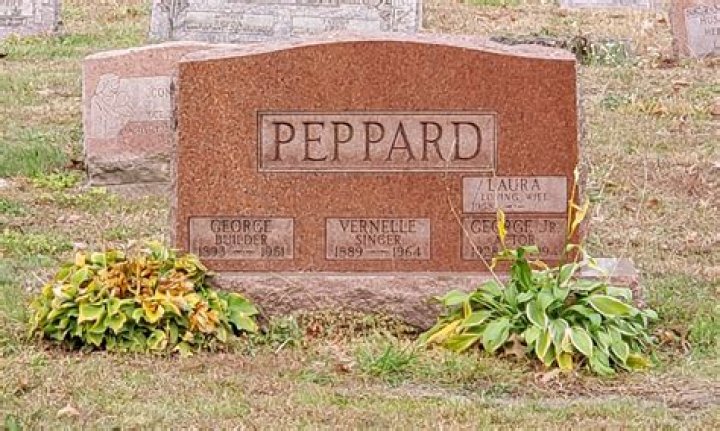 Peppard, R. I. P. Cause of Death, Date of Death, Age at Death