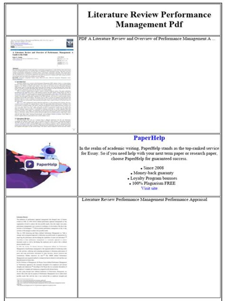 Comprehensive Performance Management Literature Review PDF