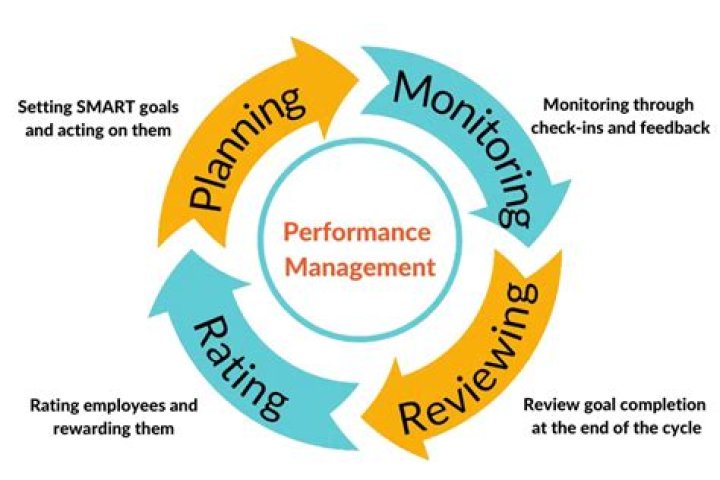 Efficient Performance Management System Process PDF Guide