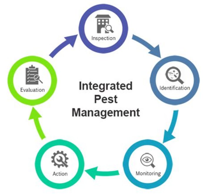 Pest Management Operations PDF: Expert Guide for Effective Control