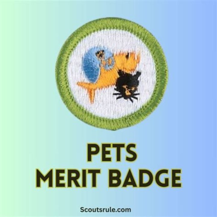 Download Pet Care Merit Badge Worksheet PDF for Kids