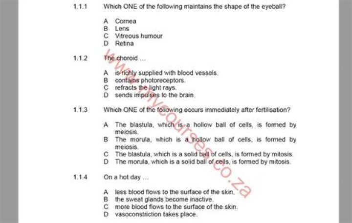 Free Pet Exam Questions PDF: Essential Vet Test Prep for Dog & Cat Care