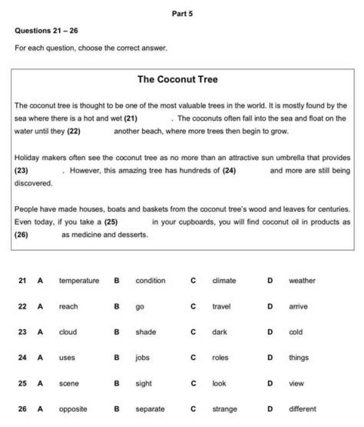 Pet Reading Test PDF with Answers – Practice & Evaluate