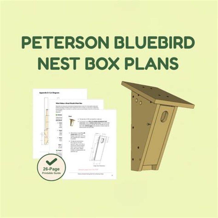 Peterson Bluebird House Plans PDF Free – Easy DIY Bluebird Birdhouse