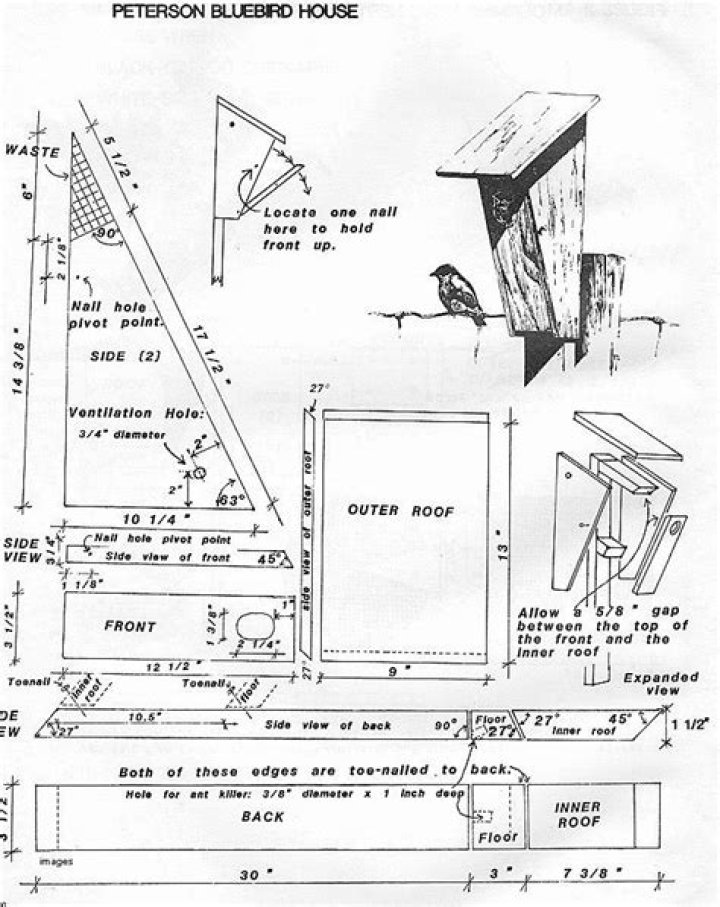 Peterson Bluebird House Plans PDF – Easy DIY Bluebird Shelter Plans