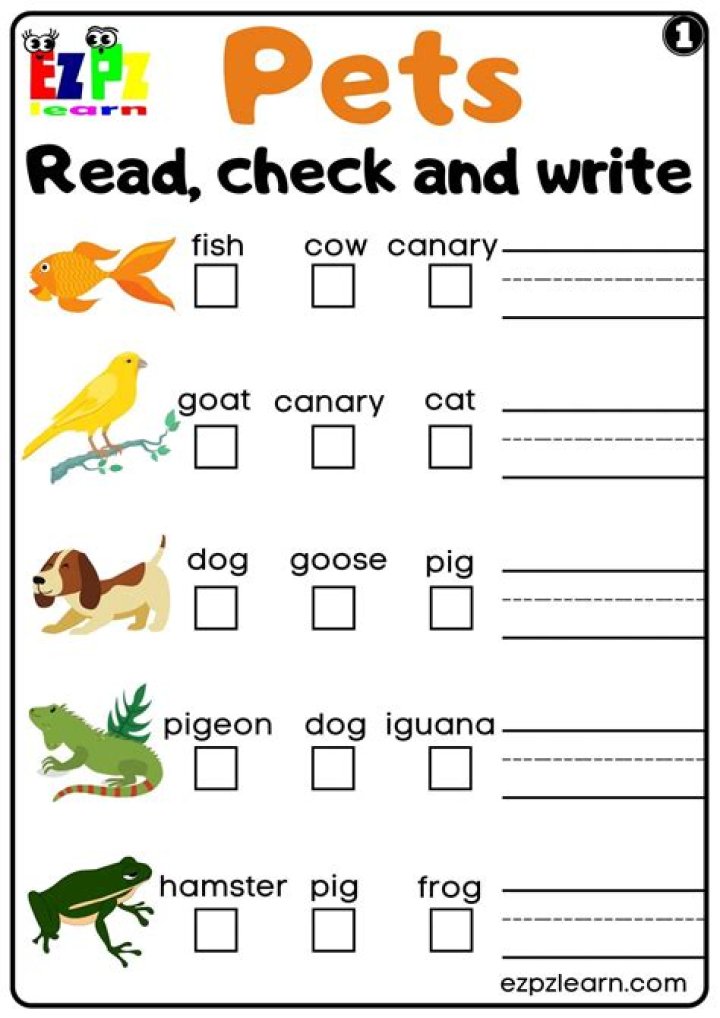 Free Printable Pets Worksheets PDF for Kids