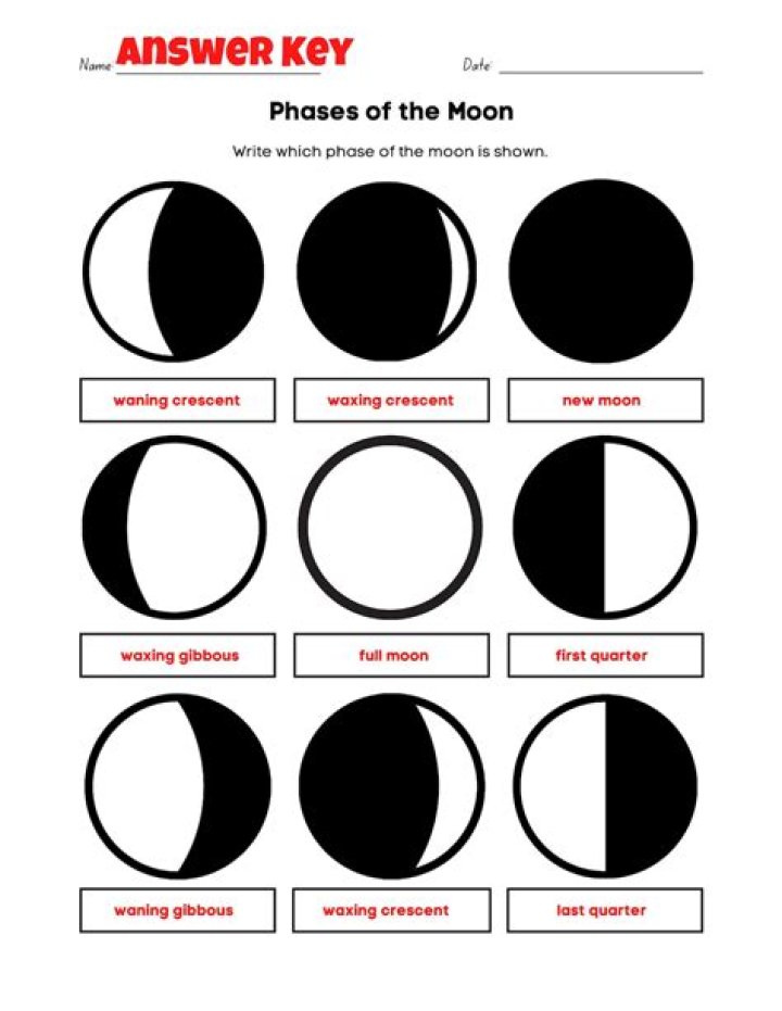 Phases of the Moon Gizmo Answers PDF Guide