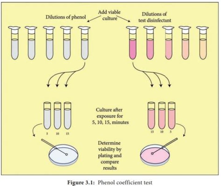 Phenol Coefficient Test Procedure: Step-by-Step PDF Guide