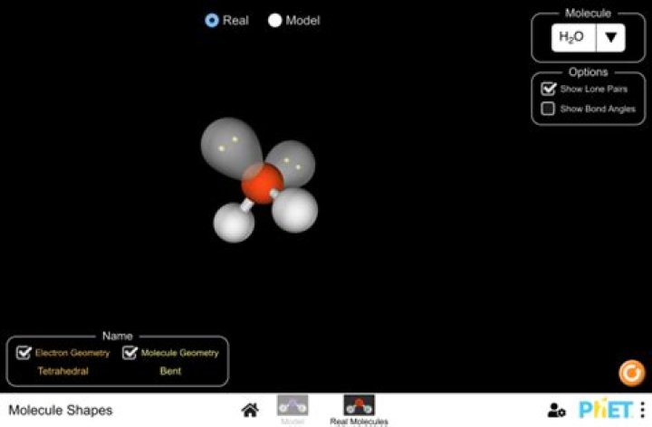 Phet Molecular Shapes Lab Answer Key PDF – Step-by-Step Solutions