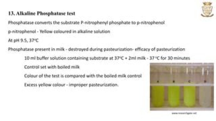 Phosphatase Test in Milk: Complete PDF Guide for Accurate Results