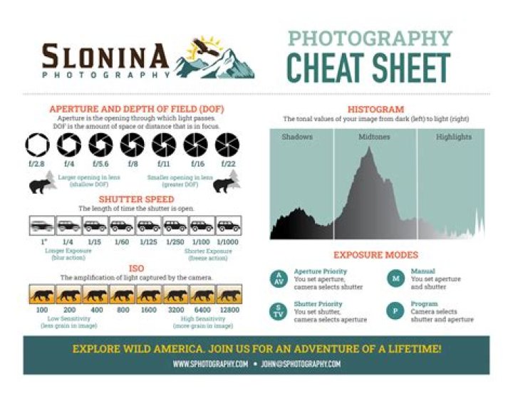 Photo Cheat Sheet PDF: Master Quick Photo Tips & Techniques