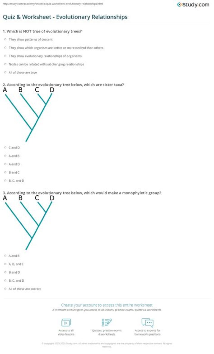 Phylogenetic Tree Questions and Answers: Expert PDF Guide