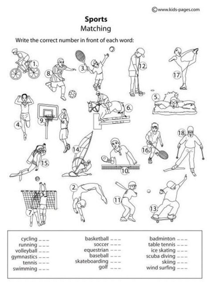 Free Physical Education Printable Worksheets PDF for Home & School