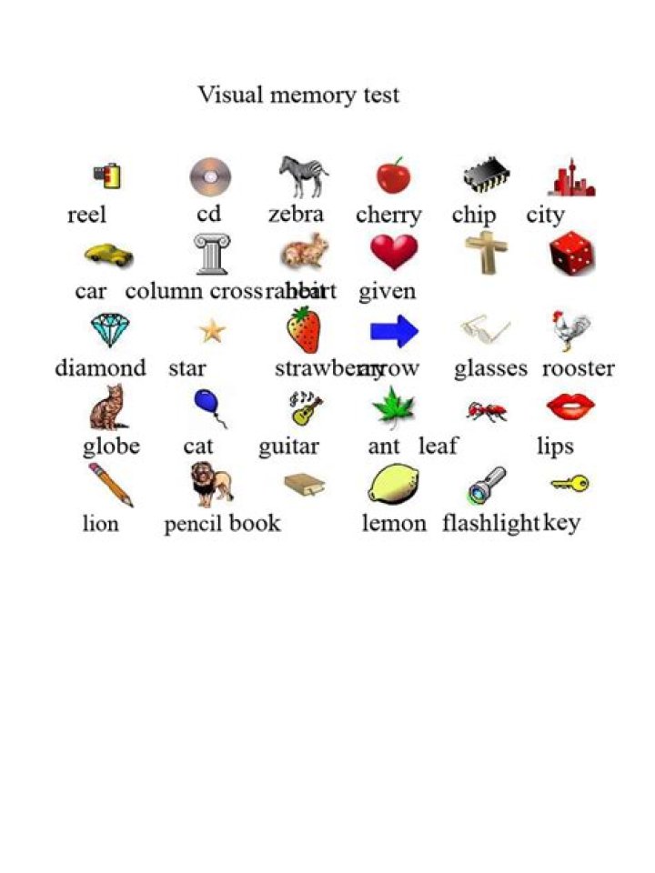 Master Your Memory: Free Picture Memory Test PDF Download