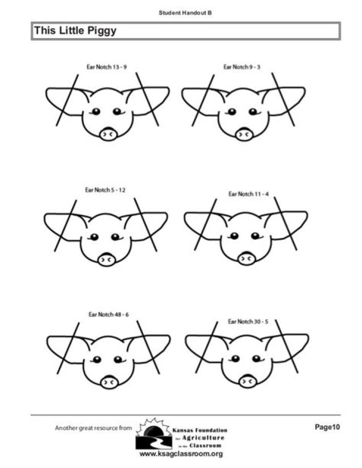 Pig Ear Notching Worksheet PDF – Free Download for Livestock Training