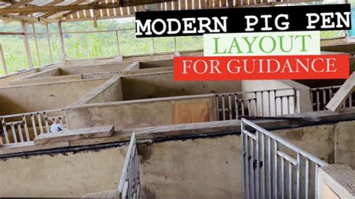 Free Pig Pen Design Plans PDF – Easy DIY Blueprints